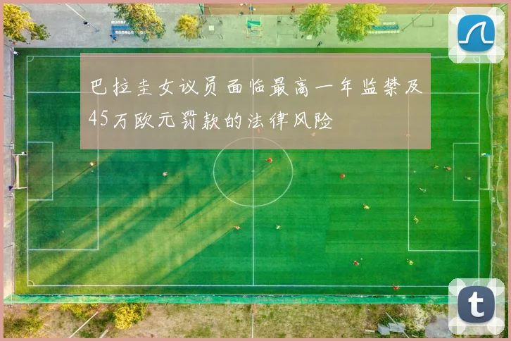 巴拉圭女议员面临最高一年监禁及45万欧元罚款的法律风险
